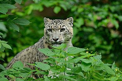 第一人称恐怖冒险游戏《蔑视》开启预购 预购特惠125.1元